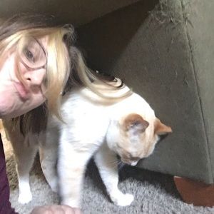 Meet your Posher, Helen